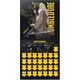 Harry Potter Harry Potter - Kalendarz ścienny 2024 rok (30 x 30 cm) 13339736 8435497286705
