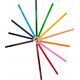 Starpak KREDKI OLO 12KOL SCHOOL STK PUD 12/144 13466247 5905523627961