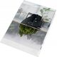 Leitz Ofert�wka Re:cycle A4 PP OP 100szt Leitz 13493656 4002432394876