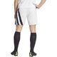 Adidas Spodenki adidas FORTORE 23 IK5761 13505402 4066762708642