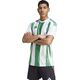 Adidas Koszulka adidas STRIPED 24 JSY IW2148 13552516 4067889053806