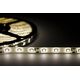 Taśma LED ECOLIGHT2 Eco Light EC79092 taśma LED 24W 4.8W/M LED 5M 4000K 200lm biała 13615411 5901986790921