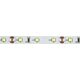 Taśma LED ECOLIGHT2 Eco Light EC79092 taśma LED 24W 4.8W/M LED 5M 4000K 200lm biała 13615411 5901986790921