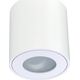 Lampa sufitowa ECOLIGHT2 Eco Light EC79971 spot lampa sufitowa 1x35W GU10 biały 13615427 5901986799719