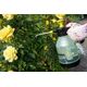 Bradas OPRYSKIWACZ RĘCZNY "AQUA SPRAY" 2,0l CLEAR 13683508 5907544452362
