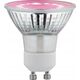 Paulmann Źródło światła prowzrostowe LED Plant GU10 3,5W 95lm 1100K 230V szkło 13684368 4000870289747