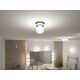 Lampa sufitowa Paulmann Lampa sufitowa łazienkowa GOVE G9 max.20W IP44 230V chrom satyna / metal 13684446 4000870710616