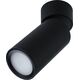Lampa sufitowa Paulmann Lampa sufitowa TURNAL COIN LED 3-STEP DIM 6W 470lm 2700K 230V czarny matowy 13684514 4000870930892