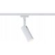 Paulmann Reflektor na szynoprzewód URail TUBO LED 3-STEP DIM 4W 150lm 3000K 230V biały / metal 13684620 4000870955918