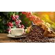 Kawa ziarnista HAYB HAYB - Brasil Espresso 1kg 13757625 5904844570017