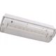 Intelight Oprawa awaryjna LED Intelight Orion MT INLEWA 91895/41628 10xLED 4W 104lm 3h SA/A IP65 13816008 5904035714381