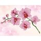 DIAMOND DOTZ Haft diamentowy Diamond Dotz Orchidea 49x39cm DD6034 13912988 4895225921768