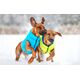 DOGGY XS 25 KURTKA LUMI ODBLASKOWA JASNOZIELONA + NIEBIESKA 13940781 5902414550551