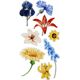 Sticker BOO Naklejki Sticker BOO Kwiaty 14055049 5905523610741