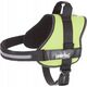 Hobbydog R1 SZELKI JULLETTA ZIELONE 14081638 5902414517332