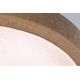 Lampa sufitowa Paulmann Plafoniera COSARA 15W 300MM 1300lm 4000K IP44 230V beżowy 14090338 4000870710548