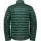 Kurtka męska Jack Wolfskin Jack Wolfskin Passamani Down M Jacket A61836-4161 Zielone M 14121378 4064886338837