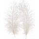 Craft with Fun OZDOBA DEK PIORKA 15-20CM 2SZT BIALE CF 12/864 14222968 5905523637557