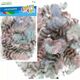 Craft with Fun OZDOBA DEK PIORKA 2G CENTKI PASTEL CF PBH 12/288 14222989 5905523637632