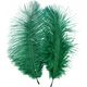 Craft with Fun OZDOBA DEK PIORKA 15-20CM 2SZT ZIEL CF 12/864 14223030 5905523637526