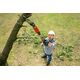 Sekator Bosch BOSCH SEKATOR ADVANCED PRUNE 18V-45 KIT LONG 14224484 4059952526317