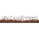 Kawa ziarnista Coffee Plant COFFEE PLANT - Honduras La Paz Marcala Washed Espresso 250g 14233453 5903815292101