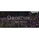 Dworzysk Dworzysk - Śpij Dobrze - Herbata sypana 30g 14233485 5901122626107