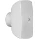 Kolumna Audac ATEO6D/W 60 W
