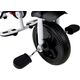 Lean Sport PRO300 Rower Trójkołowy Czarny