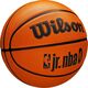 Wilson Piłka do koszykówki koszykowa Wilson JR NBA Fam Logo pomarańczowa WZ3013001XB5 5
