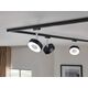 Paulmann Reflektor na szynoprzewód URail CIRCLE LED  5W 210lm 3000/4000K 230V czarny matowy/ metal