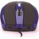 NGS MYSZ NGS TICK OPTICAL USB BLUE/BLACK