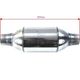 AWG_C Katalizator sportowy FI 50 3-5L EURO 3 200 CPSI