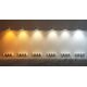 Kinkiet TKKRYWULT Tk Lighting Top 6030 kinkiet plafon lampa ścienna sufitowa spot 1x10W GU10 czarny/złoty