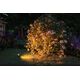 Kinkiet Paulmann Reflektor ogrodowy Plug & Shine STING LED 6.3W 2200K IP67 24V antracyt/ aluminium