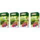 Big Active ΠΡΑΣΙΝΑ ΦΥΛΛΑ ΤΣΑΙ ΜΕ ΒΑΤΟΜΟΥΡΟ BIG-ACTIVE 100G BIO-176 948034 5905548350288