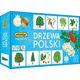 Adamigo Gra Memory - Drzewa Polski