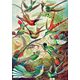 Good Loot Good Loot Puzzle: Ernst Haeckel - Hummingbirds (1000 elementów)