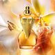 Jean Paul Gaultier Jean Paul Gaultier Divine Le Parfum EDP 100ml