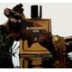Burberry Burberry Hero Eau de Parfum 100ml.