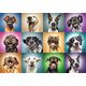 Trefl Puzzle 1000el - Zabawne psie portrety (10462)