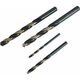 Τρυπάνι AWTools AWTOOLS METAL HSS M2 DRILL KPL. 19τμχ/1,0-10 χλστ./ PREMIUM 14224530 5903680000000