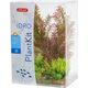 Zolux Plantkit Idro N°1