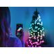 Lampki choinkowe Twinkly Twinkly Strings Smart LED 750 RGB (Multicolor), 60m, Juodas wire|Twinkly