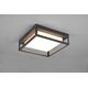 DELIGHT Trio Witham 677860142 plafon lampa sufitowa zewnętrzna IP54 1x14W LED 2300-4000K antracytowy
