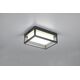 DELIGHT Trio Witham 677860142 plafon lampa sufitowa zewnętrzna IP54 1x14W LED 2300-4000K antracytowy