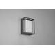 DELIGHT Trio Witham 677860142 plafon lampa sufitowa zewnętrzna IP54 1x14W LED 2300-4000K antracytowy