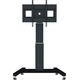 Neomounts Stojak podłogowy PLASMA-M2500BLACK 42'' - 100''