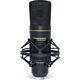 Mikrofon Marantz Professional MPM2000U