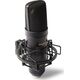 Mikrofon Marantz Professional MPM2000U